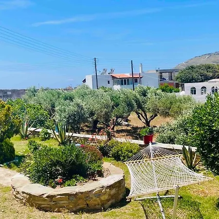 Colorful,newly Renovated Artistic In The Port Of Gavrio