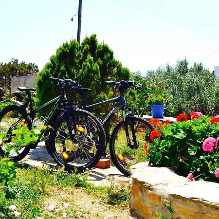 Goatandros Colourful One-Bedroom Apartment In Gavrio Apartamento *